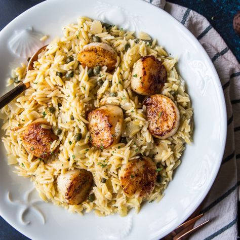 Pan Seared Scallops with Orzo Piccata - The Beach House Kitchen Scallops With Orzo, Pan Seared Scallops, Orzo Recipes, Seared Scallops, Shellfish Recipes, Scallop Recipes, Small Pasta, Scallops Seared, Easy Weeknight Dinner