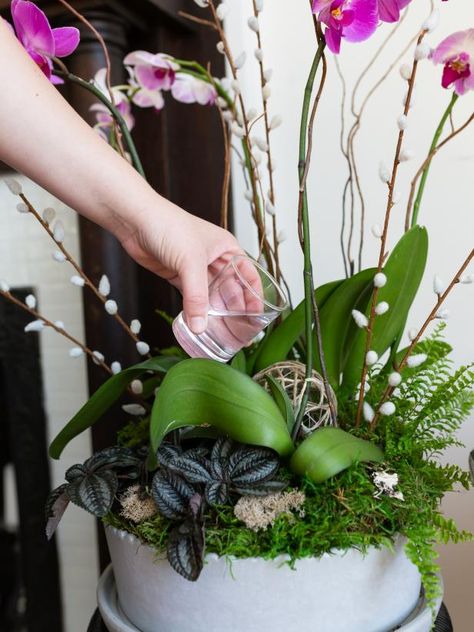 Potted Orchid Arrangements, Potted Floral Arrangements, Orchid Arrangements Ideas Floral Design, Live Orchid Arrangements, Live Plant Arrangements, Flower Arrangements With Orchids, Orchid Planter Ideas Flower Pots, Orchids Pots Ideas Planters, Orchid Arrangements Diy