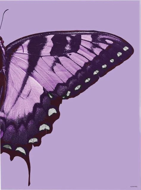 Light Bulb Drawing, Fall Paper Crafts, Pastel Background Wallpapers, Purple Painting, Butterfly Art Painting, Purple Vibe, Purple Themes, Beautiful Art Pictures, Purple Walls