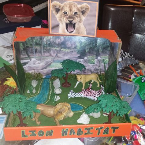 3rd Grade Lion Diorama Project for the Lion Habitat. Rainforest Project, Diorama Kids, Ecosystems Projects, Native American Projects, Habitats Projects, Geography Project, Rainforest Habitat, Geography Worksheets, Geography For Kids