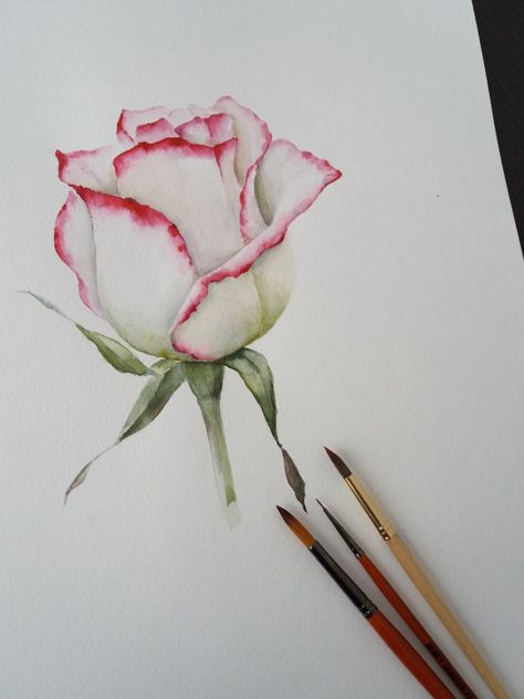 Watercolor. #watercolor #rose#flowersFlowers ...Watercolor Instagram Roses, Watercolor Video, Roses Drawing, Watercolor Flower Art, Watercolor Painting Techniques, 수채화 그림, Watercolor Flowers Paintings, Watercolor Paintings Tutorials, Watercolor Illustrations