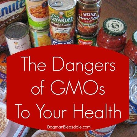 Eating Gene-Manipulated Food, GMOs, DagmarBleasdale.com Gmo Vegetables, Farm Crops, Gmo Free Food, Genetically Modified Food, Gmo Foods, Organic Diet, Healthy Supplements, Yellow Corn, Toxic Foods