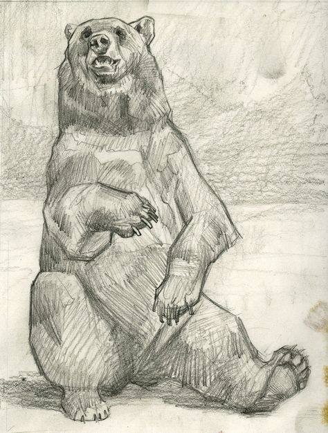 For sale here is Golden Grizzly, an original drawing by animal artist Joe Weatherly. This drawing was made as a preliminary sketch for the painting with the same title. The grizzly is full of character, and seated  against an abstract background. Graphite on Ingram Bond paper. Bear Sketch, Animal Drawings Sketches, Posca Art, Bond Paper, Background Drawing, Arte Sketchbook, Graphite Drawings, Animal Sketches, Sketchbook Inspiration