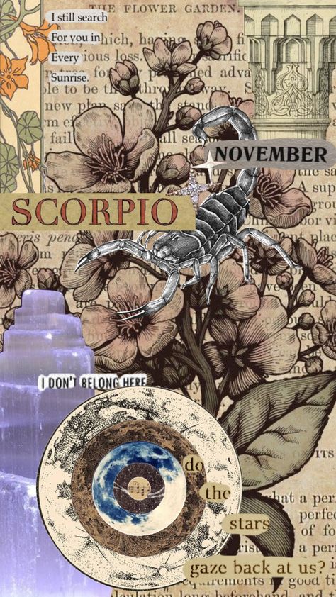 Scorpio Mood Board, Scorpio Zodiac Wallpaper, Scorpio Collage, Scorpio + Core + Aesthetic, Scorpio Core, Scorpio Wallpaper, November Flowers, November Scorpio, Scorpio Szn