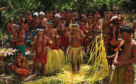 Yanomami; Brasil (America, southern continent) Yanomami Tribe, Rainforest Tribes, Rainforest Project, Indian Project, Amazon Tribe, The Amazon Rainforest, Indigenous Tribes, Indigenous Community, Rain Forest