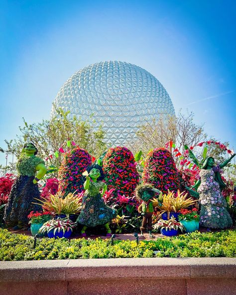 The Epcot International Flower & Garden Festival is in full bloom until May 27th! In addition to the gorgeous topiaries shown here, the festival features Outdoor Kitchens, the Garden Rocks Concert Series, specialty merchandise, & so much more! It’s truly one of the most beautiful times of the year at Epcot! 🌹 🌸 🌺 #flowerandgarden #flowerandgardenfestival #epcotflowerandgardenfestival #epcot #epcotfestival #wdw #waltdisneyworld #disneyworld #disneyparks #disney #disneyvacation #travela... Epcot Flower And Garden Festival, Epcot Flower And Garden Festival 2024, Club Cool Epcot, Epcot Attractions, Epcot World Showcase Aesthetic, Flower And Garden Festival Epcot, Concert Series, Rock Concert, Time Of The Year