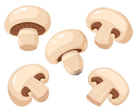 107,400+ Mushroom Stock Illustrations, Royalty-Free Vector Graphics & Clip Art - iStock | Growing mushrooms, Medicinal mushrooms, Mushroom isolated Jamur Kancing, Pizza Cartoon, Mushroom Stock, Cartoon Mushroom, Mushroom Pizza, Mushroom Drawing, Household Planner, Editing Inspiration, Sliced Mushrooms