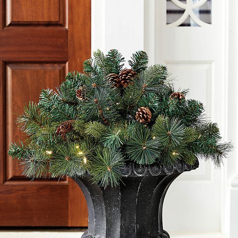 Prelit Wreath, Christmas Exterior, Best Outdoor Christmas Decorations, Garden Christmas Decor, Porch Pots, Holidays Decorations, Pre Lit Wreath, Holiday Planter, Winter Planter