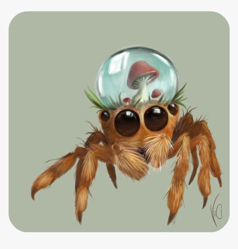 Jumping Spider Drawing, Jump Spider, Spiders Cute, Cute Jumping Spider, Kawaii Spider, Lucas The Spider, Spider Illustration, Spider Drawing, Jumping Spiders