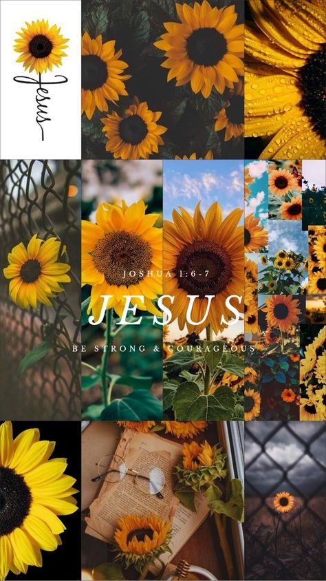 Sunflower Iphone Wallpaper, Vsco Wallpaper, Preppy Wallpapers, Christian Iphone Wallpaper, Map Compass, Christian Quotes Wallpaper, Pretty Wallpapers Tumblr, Sunflower Pictures, Bible Quotes Wallpaper