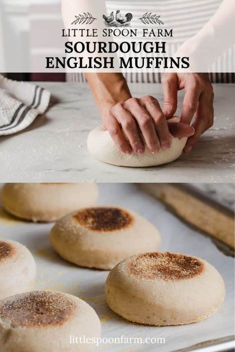 Low Cal Pastries, English Muffins Sourdough, Overnight Sourdough Recipes, Little Spoon Farm, Sourdough English Muffin Recipe, Sourdough Ideas, English Muffin Recipe, Recipe Using Sourdough Starter, Sourdough English Muffins