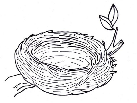 Bird Nest Drawing Nest Images, Egg Coloring Page, Bird Template, Cartoon Birds, Bird Coloring Pages, Birds Nest, Bird Crafts, Bird Theme, Clipart Black And White