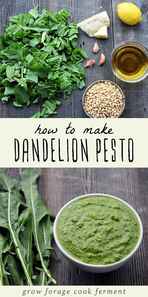 Dandelion Pesto Recipe, Dandelion Pesto, Dandelion Greens, Food Foraging, Simple Appetizer, Wild Food Foraging, Foraging Recipes, Green Pesto, Foraged Food