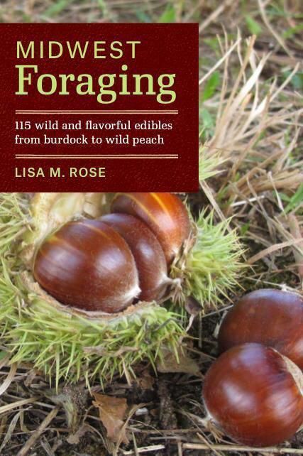 Midwest Foraging, Wild Foraging, Wild Food Foraging, Edible Wild Plants, Foraged Food, Essential Oils Herbs, Survival Gardening, Wild Edibles, Edible Food