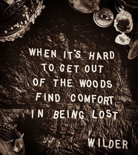 Lost In The Woods Quotes, Favorite Poems, Into The Woods Quotes, Lost In The Woods, Out Of The Woods, Poem Quotes, Hard To Get, New Me, Close Your Eyes