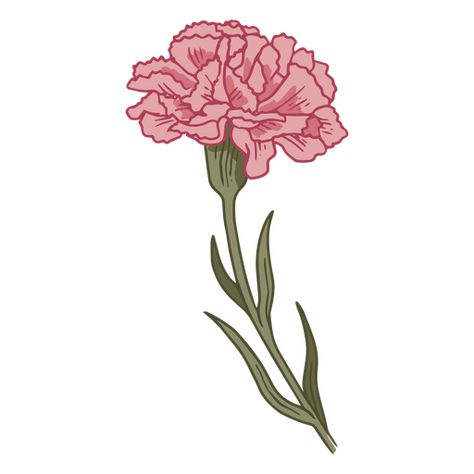 Pink carnation illustration PNG Design Pink Carnations Painting, Pink Carnation Drawing, Carnations Illustration, Carnation Flower Illustration, Carnation Illustration, Pink Flower Illustration, Carnation Drawing, Carnation Design, January Birth Flowers