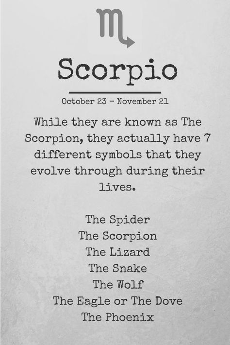 All About Scorpio, Zodiac Quotes Scorpio, Scorpio Art, Astrology Scorpio, Scorpio Traits, Scorpio Love, The Scorpio, Scorpio Zodiac Facts, Zodiac Signs Scorpio