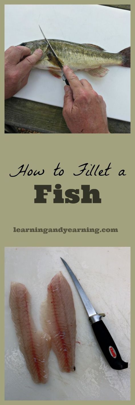 How To Clean A Fish, Bluegill Fish, Fishing Ideas, Cleaning Fish, Fly Fishing Tips, Bass Fishing Tips, Fishing Techniques, Fishing Knots, Fish Fillet