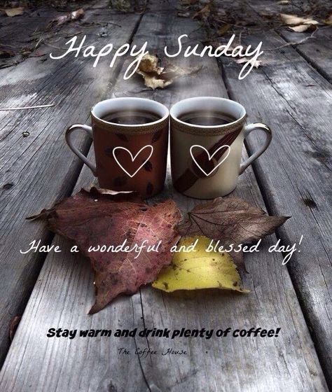 Happy Sunday...have a blessed day! ❤️ Coffee Sunday, Sunday Morning Coffee, Lol So True, Sunday Morning Quotes, Sunday Quotes Funny, Sunday Greetings, Sunday Coffee, Quotes Coffee, Weekend Quotes