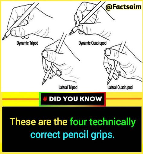 Drawing Bodies, Hd Wallpaper Quotes, Girl Logic, English Knowledge, Wierd Facts, Interesting Science Facts, Appreciate Life Quotes, Exam Quotes Funny, Cool Science Facts