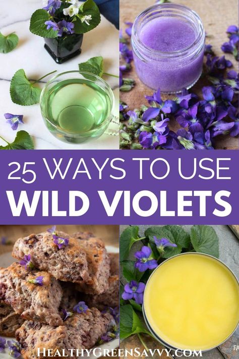 Wondering what to do with all those beautiful wild violets in your yard? Check out these 25 creative wild violet recipes and put these lovely plants to use. Don't worry if the flowers are long gone: Violet leaves can be used in loads of wild violet recipes as well. | edible wild plants | recipes with wild violets | foraging | Violet Recipes, Medicine Garden, Natures Bounty, Wild Violets, Edible Flowers Recipes, Wild Foraging, Herbal Medicine Recipes, Wild Food Foraging, Herbal Remedies Recipes