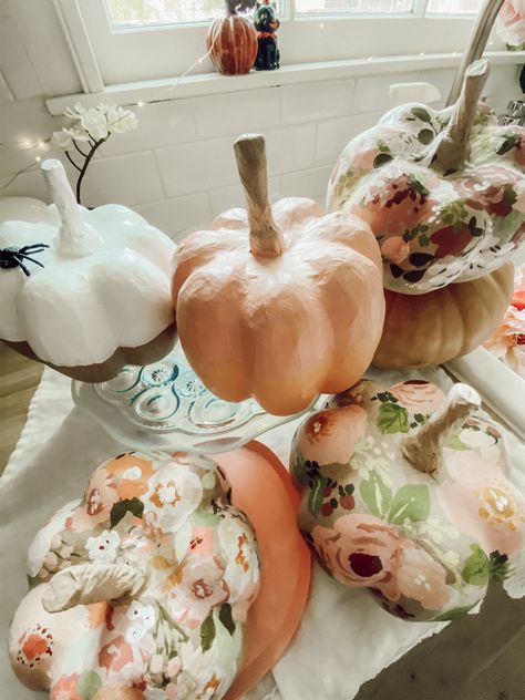 Cardboard Pumpkin Painting, Ladies Pumpkin Painting Party, Beautiful Painted Pumpkins, Pumpkin Decorating Party For Adults, Painted Thanksgiving Pumpkins, Pumpkin Paint And Sip, Pumpkin Painting Party Adults, Pretty Painted Pumpkins, Flower Painted Pumpkins