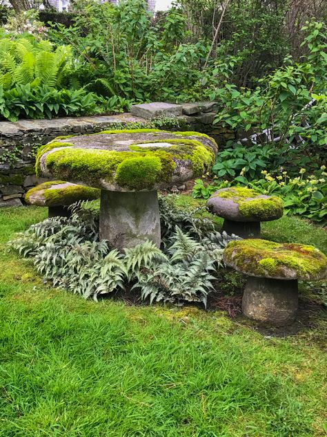 Inspiring Garden Design: Express Your Personality! Rockery Garden, Voyageurs National Park, Seaside Garden, Moss Covered, Moss Garden, Forest Garden, Have Inspiration, Magical Garden, Woodland Garden