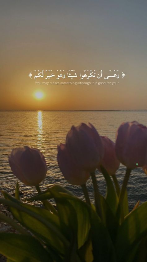 Wallpaper Islamic Quotes, Iphone Wallpaper Scenery, Wallpaper Quran, Wallpaper Islamic, Hd Wallpaper Quotes, Quran Wallpaper, Islamic Wallpaper Iphone, Wallpaper Beautiful, Short Islamic Quotes