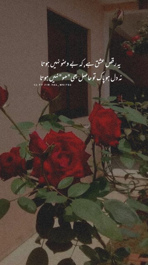 Flower Poetry, Ishq Hai, Best Poetry, Image Poetry, Poetry In Urdu, Love Quotes Photos, Flower Iphone Wallpaper, Poetry Words, What's App Status