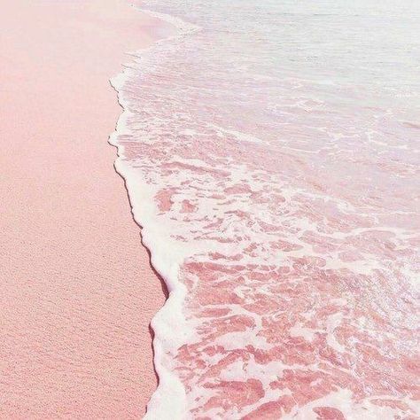 Wallpaper Heaven, Homescreen Icons, Pastel Pink Wallpaper, Photo Rose, Baby Pink Aesthetic, Beach Images, Pink Photo, Pastel Pink Aesthetic, Picture Collage Wall