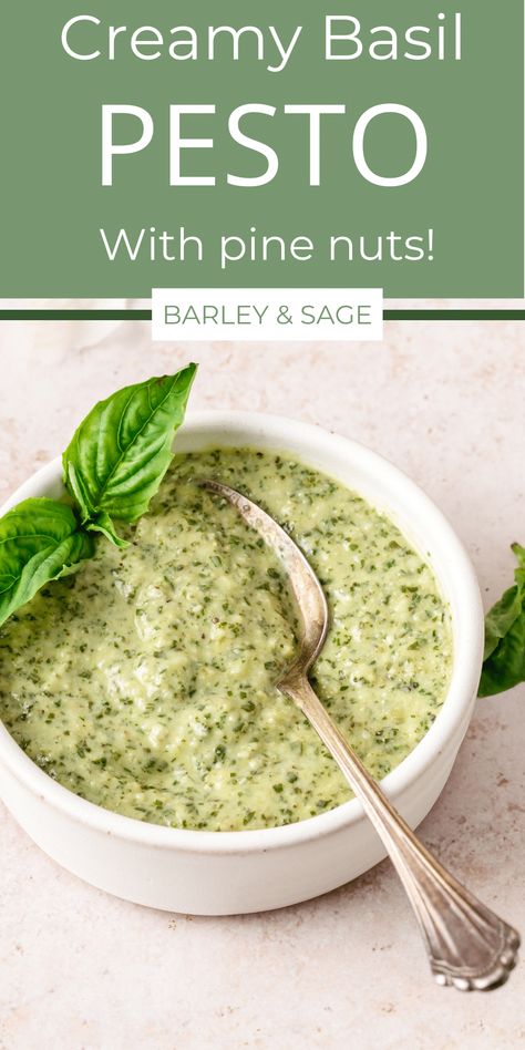 Homemade Creamy Basil Pesto Basil Pesto Cream Sauce, Pesto Cream Sauce, Pesto Ravioli, Basil Pesto Recipe, Pesto Sauce Recipe, Homemade Pesto Recipe, College Recipes, Broccoli Pasta Recipe, Processor Recipes