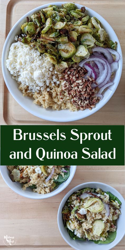 Brussels Sprout and Quinoa Salad | Midwest Mash Brussel Sprouts Quinoa, Salad Brussel Sprouts, Brussel Sprouts Recipes, Sprouts Recipes, Healthy Bowl, Cheese Course, Grain Bowls, Stove Top Recipes, Brussels Sprout