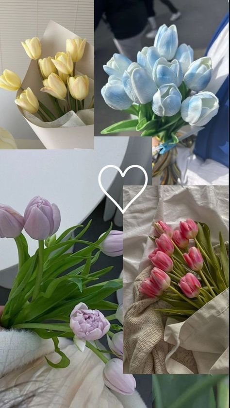 Tulip Flower Pictures, Pretty Flowers Pictures, Boquette Flowers, Flower Gift Ideas, Flowers Photography Wallpaper, Pretty Phone Wallpaper, Lovely Flowers Wallpaper, Nothing But Flowers, Flower Therapy