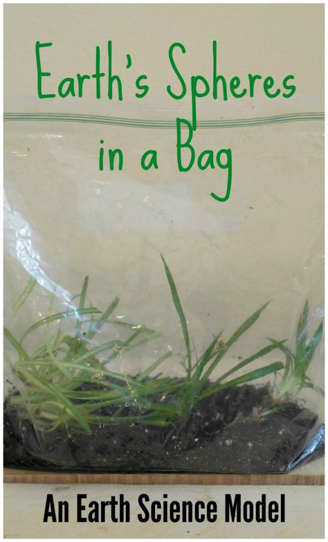 Model the biosphere, atmosphere, geosphere, hydrosphere in a zip-loc bag! Geosphere Projects, Earth Spheres Project, Hydrosphere Project, Geosphere Biosphere Hydrosphere Atmosphere, Earths Spheres, Biosphere Project, Zentangle Patterns For Beginners, Earth Systems, Earth Science Projects