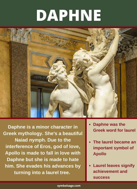 The story of Daphne and Apollo is highly popular. It offers an explanation of the origins of the laurel tree and has many elements of a classic love story. Daphne Goddess, Daphne Greek Mythology, Apollo And Daphne, Tree Nymph, God Apollo, Roman Myth, Lotus Flower Painting, Laurel Tree, God Of Love