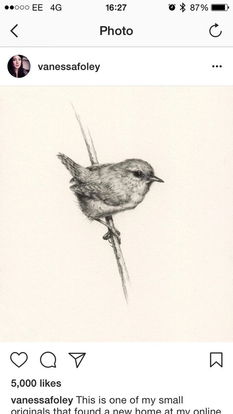 Wren Line Tattoo, Wren Flying Tattoo, Botanical Bird Tattoo, Jenny Wren Tattoo, Wren Tattoo Design, Fairy Wren Tattoo, Carolina Wren Tattoo, Warbler Tattoo, Wren Tattoo Simple