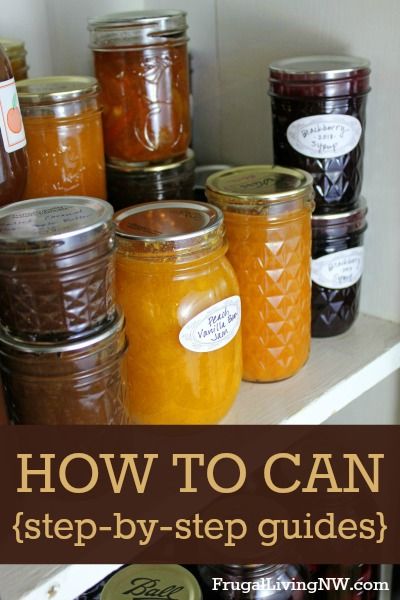 How to Can: Step-by-Step Guides -- Everything you need to know about waterbath canning Canning How To Step By Step, Intro To Canning, Seedless Blackberry Freezer Jam Recipe, Canning Guide, Canning For Beginners, Canning Applesauce, Canning Equipment, Canning 101, Canning Fruit