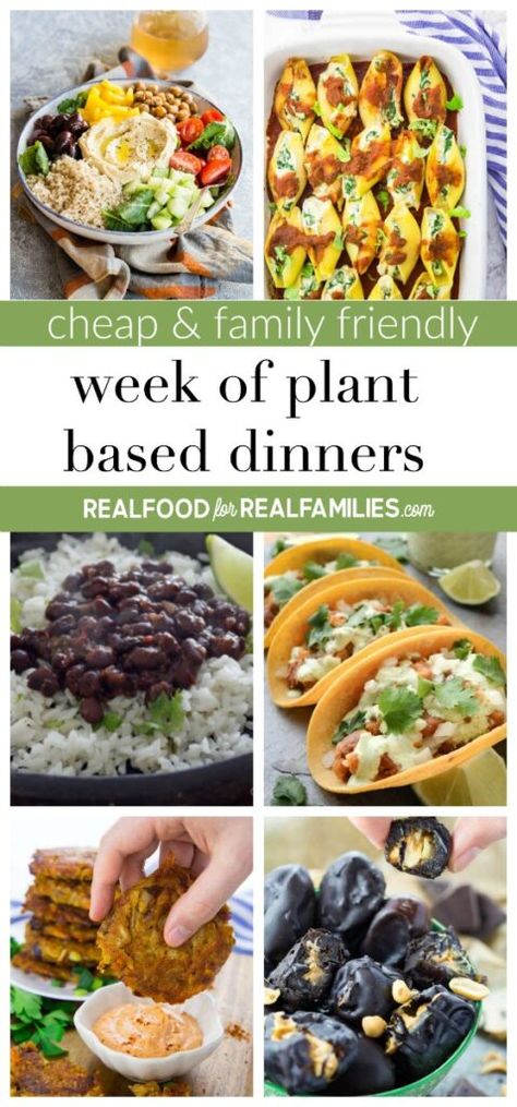 Plant Based Dinners, Cheap Vegan Meal Plan, Whole Plant Based Diet, Cheap Vegetarian Meals, Vegan Meal Ideas, Plant Based Diet Meals, Cheap Vegan Meals, Plant Based Meal Planning, Cheap Vegan