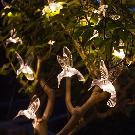 Luxury Lighting Design, Outdoor Fairy Lights, Twinkly Lights, Solar Fairy Lights, Hummingbird Garden, Solar Garden, Light Design, Luxury Lighting, Tarzan