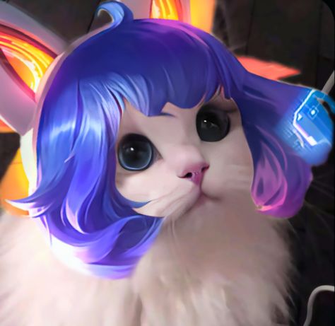 𝑴𝒍𝒃𝒃 𝒄𝒂𝒕 Legend Cat, Alucard Mobile Legends, Haiwan Lucu, Cat Icon, Animated Love Images, Anime Dancer, Cute Cartoon Drawings, Cute Anime Profile Pictures, Bang Bang