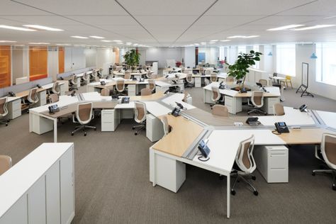 Insurance Office, Flexible Furniture, Open Space Office, Desk Layout, Corporate Office Design, Office Plan, Natural Wood Flooring, Sleek Storage, Office Layout