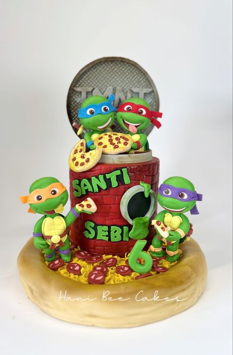 Ninja Turtle Cake Ideas, Ninja Cakes, Instagram Bakery, Mutant Ninja Turtles Cake, Ninja Turtles Cake, Teenage Mutant Ninja Turtle Cake, Turtles Cake, Turtle Ninja, Ninja Cake