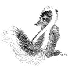 Like the skunk's position Skunk Tattoo, Opossum Tattoo, Skunk Drawing, Striped Skunk, Baby Skunks, Pencil Inspiration, Baby Animal Drawings, Baby Tattoos, Clay Animals