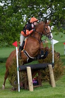 600+ Free Horse Rider & Horse Images - Pixabay Eventing Cross Country, Cross Country Jumps, Show Jumping Horses, Eventing Horses, Equestrian Helmet, Horse Dressage, Types Of Horses, Horse And Rider, English Riding