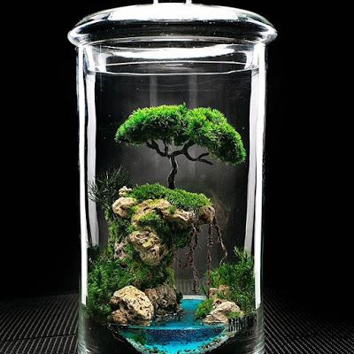 Closed Terrarium Plants, Terrarium Scene, Resin Water, Bonsai Tree Types, Indoor Bonsai Tree, Miniature Terrarium, Beautiful Terrariums, Mini Bonsai, Indoor Bonsai