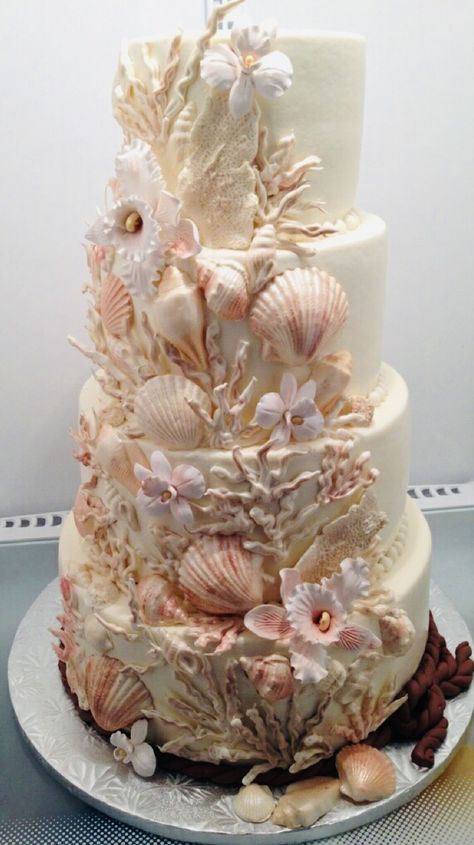 Nautical Cakes, Dolphin Cake, Seashell Cake, Dolphin Cakes, Beach Theme Wedding Cakes, Seashell Wedding, Sea Cakes, Beach Cakes, Ocean Wedding