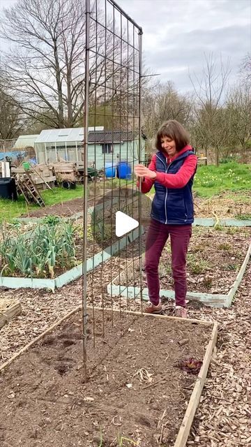 Vera Greutink | Edible Garden on Instagram: "Yesterday felt like the proper start of the gardening season! I put up my trellis and planted out presown snow peas. I also sowed some spinach and lettuce along the trellis to make use of the whole bed and the shelter provided by the row cover. It protects the plants both from cold and wind and pigeons. And now I’ll just have to hope for the spring to properly set in! Have you been able to do some gardening this weekend?" Peas Garden, Planting Spinach, Garden Rows, Pea Trellis, Trellis Garden, Row Covers, Vegetable Garden Diy, Snow Peas, Magic Garden