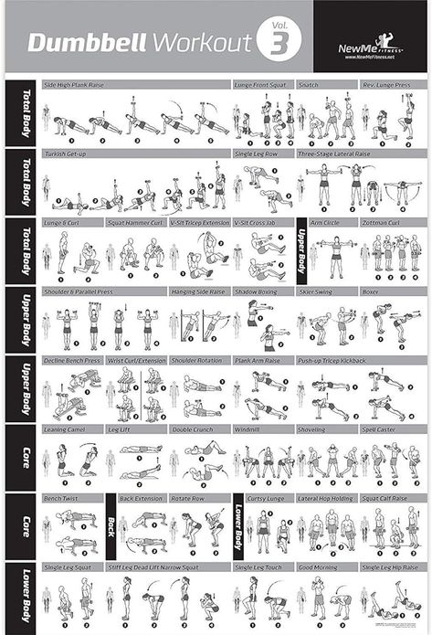 Printable Dumbbell Workout Chart 506 Dumbell Workout Printable, Dumbbell Workout Chart, Workout Printable, Muscle Building Workout Plan, Arm Workout Routine, Exercise Poster, Dumbbell Exercise, Workout Strength Training, Complete Body Workout