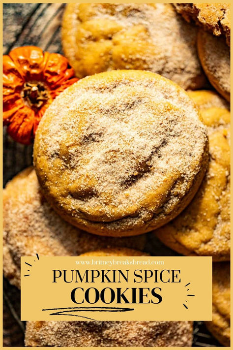 Image of several pumpkin spice cookies for dessert. Easy Delicious Appetizers, Soft Pumpkin Cookies, Awesome Desserts, Pumpkin Spice Donut, Best Pumpkin Pie, Yummy Fall Recipes, Pumpkin Spice Cookies, Jam Cookies, Spice Cookies