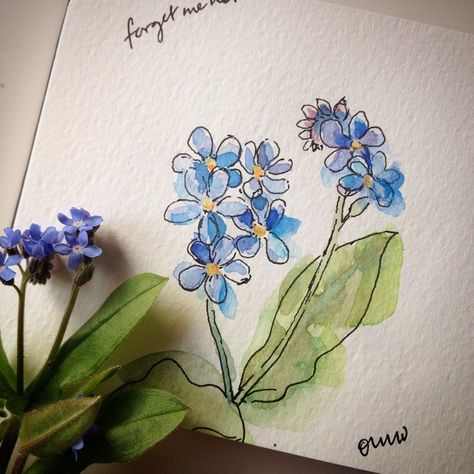 Love these little forget-me-not flowers. 4/100 #the100dayproject #sketchaday…                                                                                                                                                                                 More Forget Me Not Tattoo, Ohn Mar Win, Doodle Tattoo, Flowers Drawing, Watercolor Flowers Paintings, Flowers Spring, Easy Watercolor, Sumi E, Forget Me Not